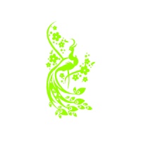 pva_nonfiguratv_zld