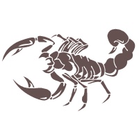 skorpi_barna