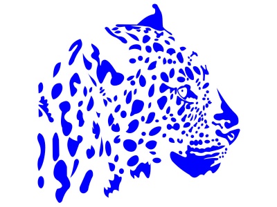 leopard_fej_kk_2123032377